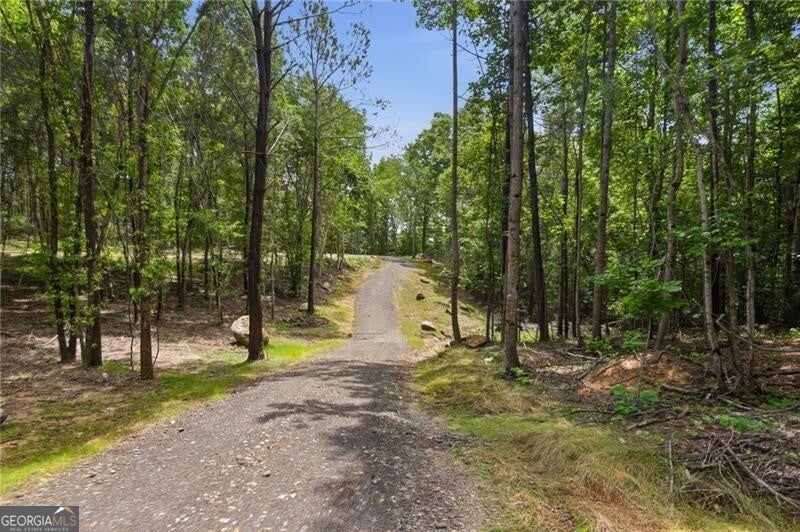 Photo of 4 Orlando Path, Dallas, GA 30157 (MLS # 10796070)