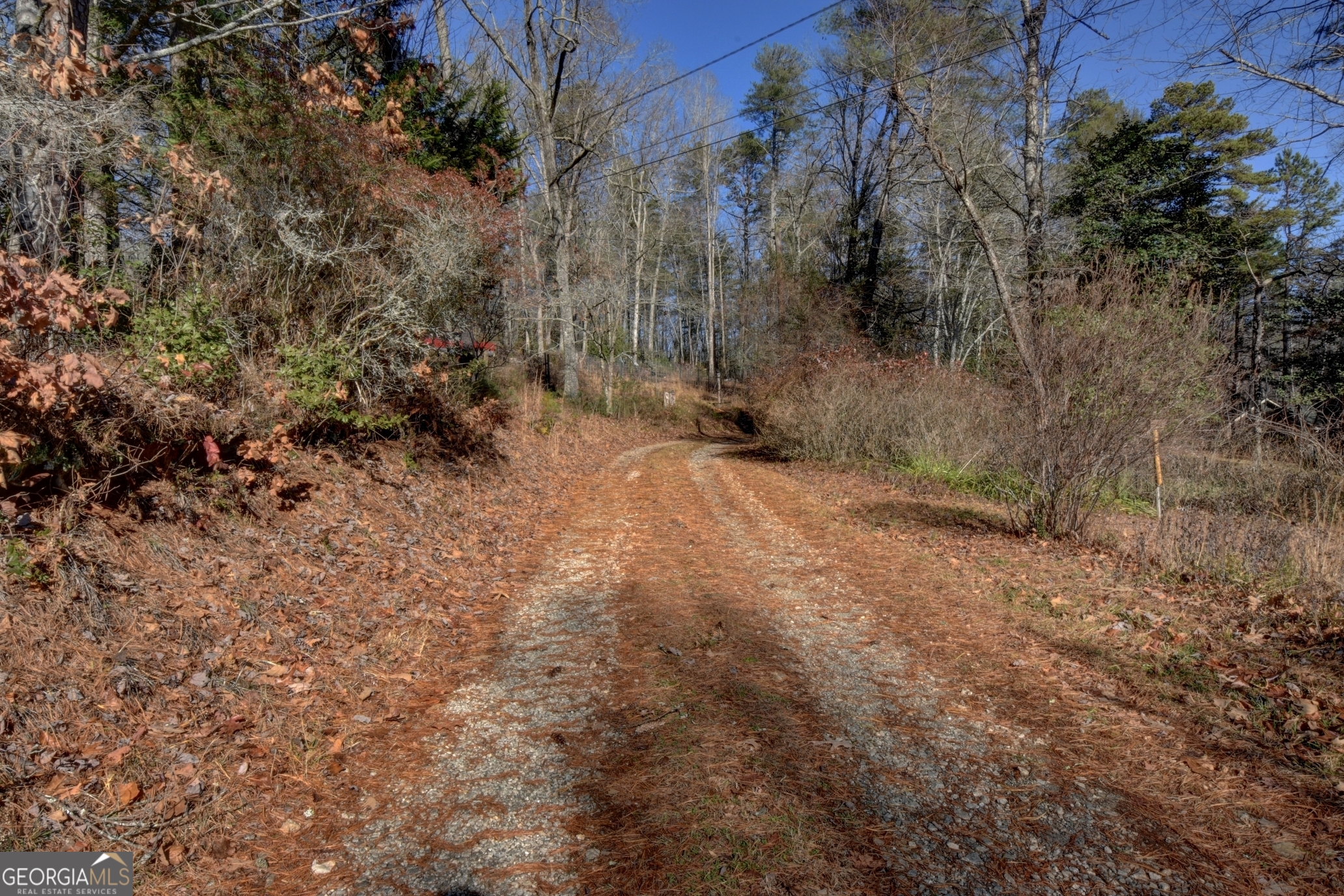 100 Saga Mountain RD