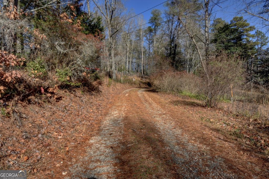 Photo of 100 Saga Mountain Road, Tiger, GA 30576 (MLS # 10660414)