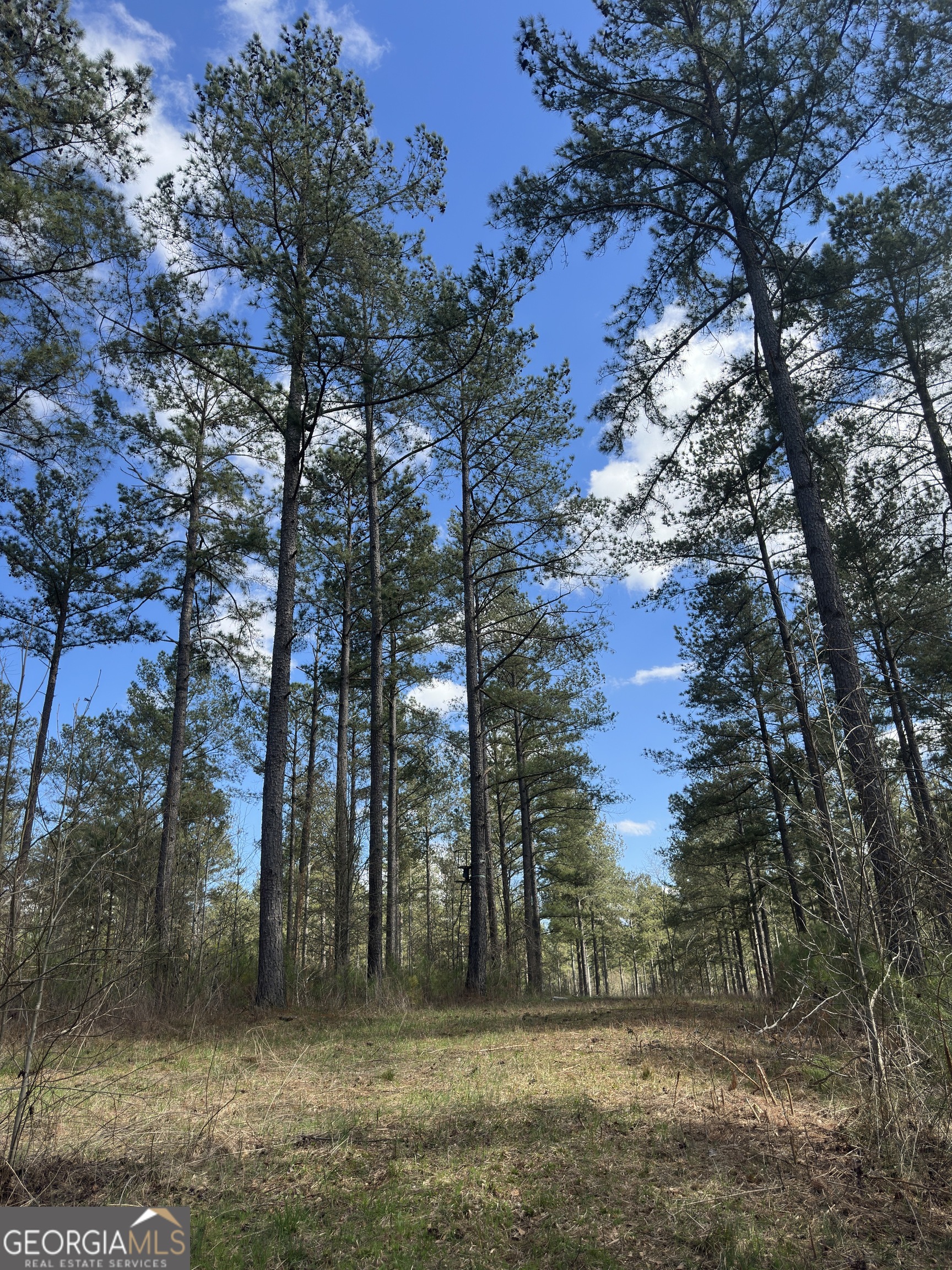 0 Watson Mill RD