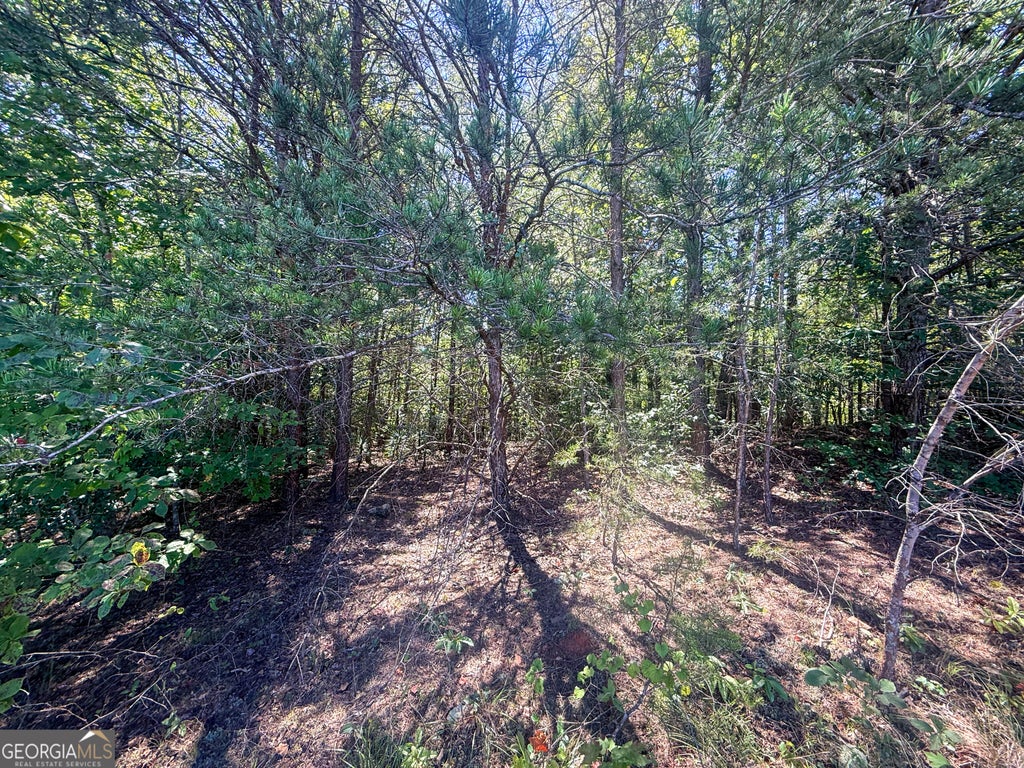 Photo of 21 Sunshine Ridge Drive, Toccoa, GA 30577 (MLS # 10845317)