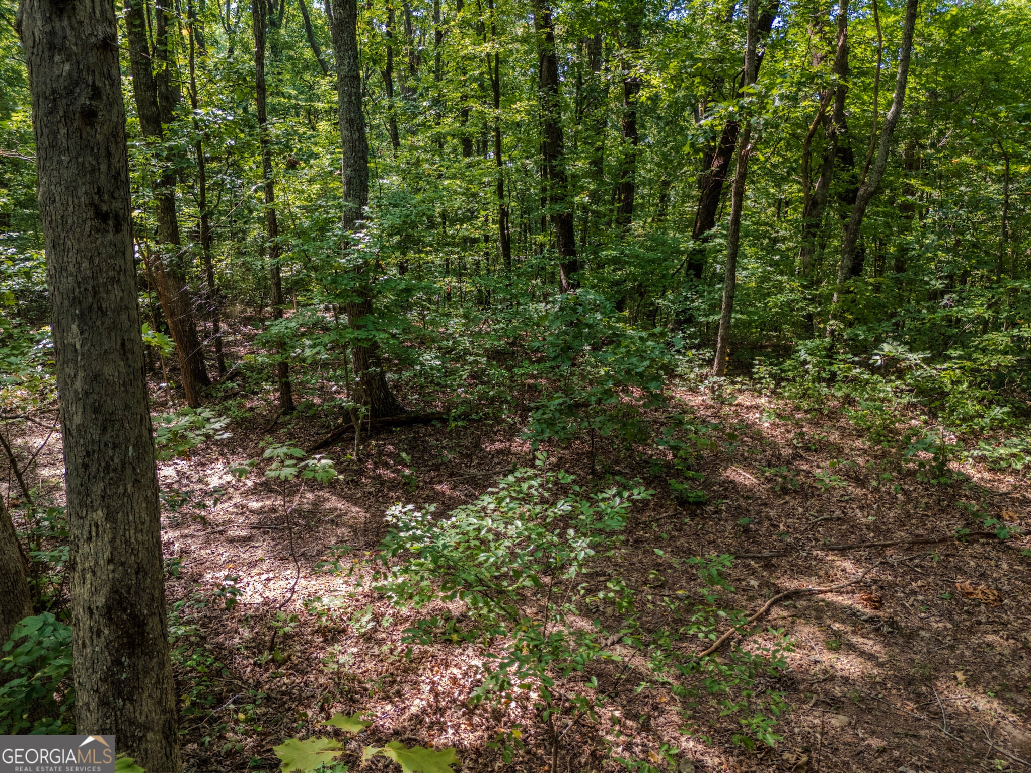 0 Clearview Drive