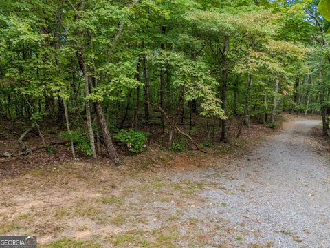 Photo of 0 Clearview Drive, Talking Rock, GA 30175 (MLS # 10848524)