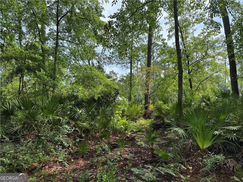 LOT 23-D Black Tern WAY