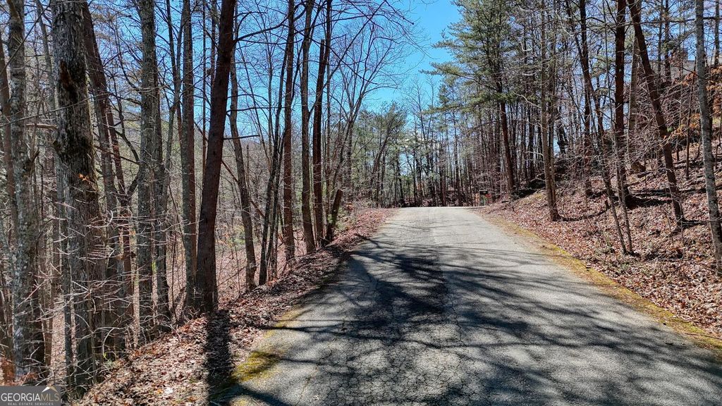 Photo of 10 Butternut S/D / Firefly Ridge, Blairsville, GA 30512 (MLS # 10707345)