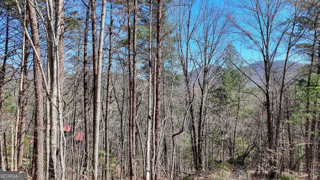 Photo of 10 Butternut S/D / Firefly Ridge, Blairsville, GA 30512 (MLS # 10707345)