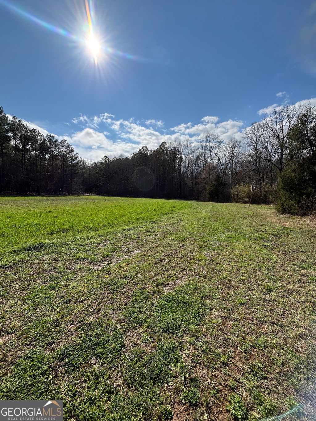 Photo of 1736 Lincolnton Highway, Elberton, GA 30635 (MLS # 10700789)
