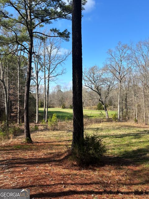 Photo of 1736 Lincolnton Highway, Elberton, GA 30635 (MLS # 10700789)
