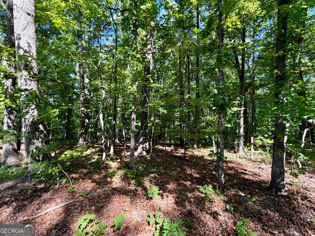 Photo of 0 Leola Road, Douglasville, GA 30135 (MLS # 10764822)