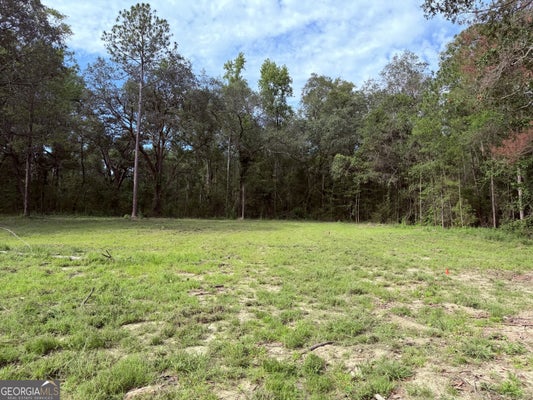 3980 MOSLEY RD, CLAXTON, GA 30417 - Image cc88004b2a2dba980e65d9658e827077/4072950488