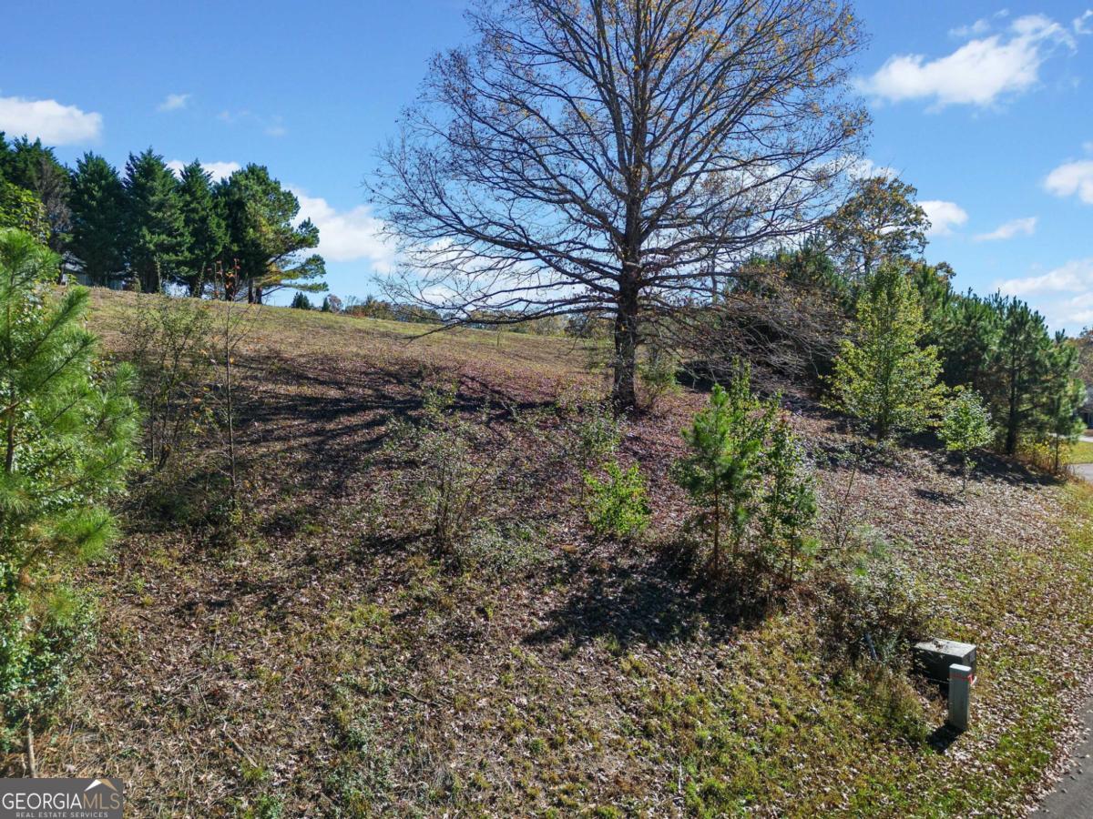 LOT 113 Oak Valley CT 113