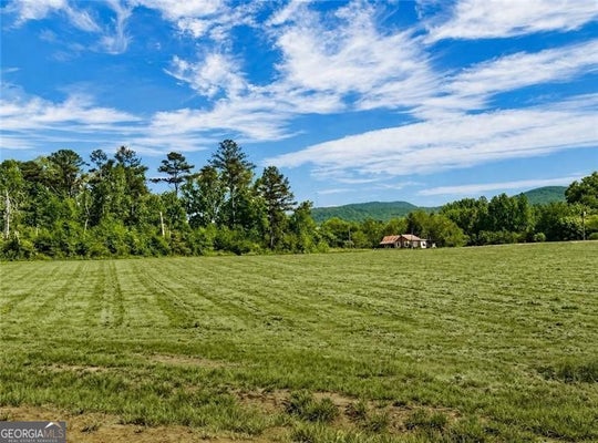 118 PALISADE DR, RYDAL, GA 30171 - Image cc8e63780da8a48f398f70210f3de06e/1731155406