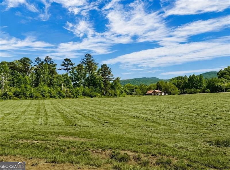 Photo of 118 Palisade Drive, Rydal, GA 30171 (MLS # 10815082)