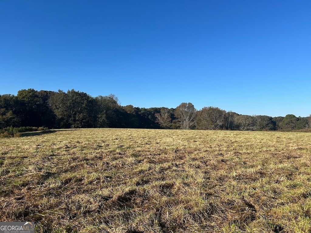 Photo of 0 Old Columbus Road, Bowdon, GA 30108 (MLS # 10736733)