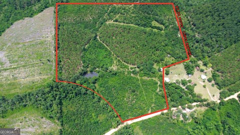 Photo of 0 Webb Cemetery Road, McRae-Helena, GA 31055 (MLS # 10809113)