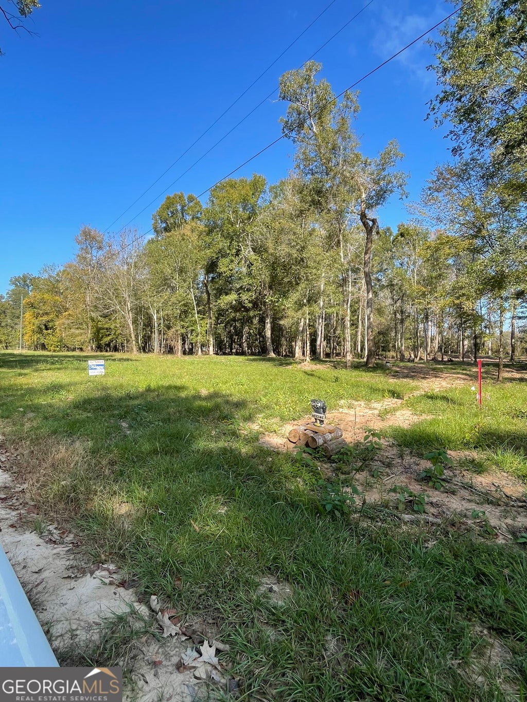 Photo of 160 Eagles Point, Surrency, GA 31563 (MLS # 10882243)