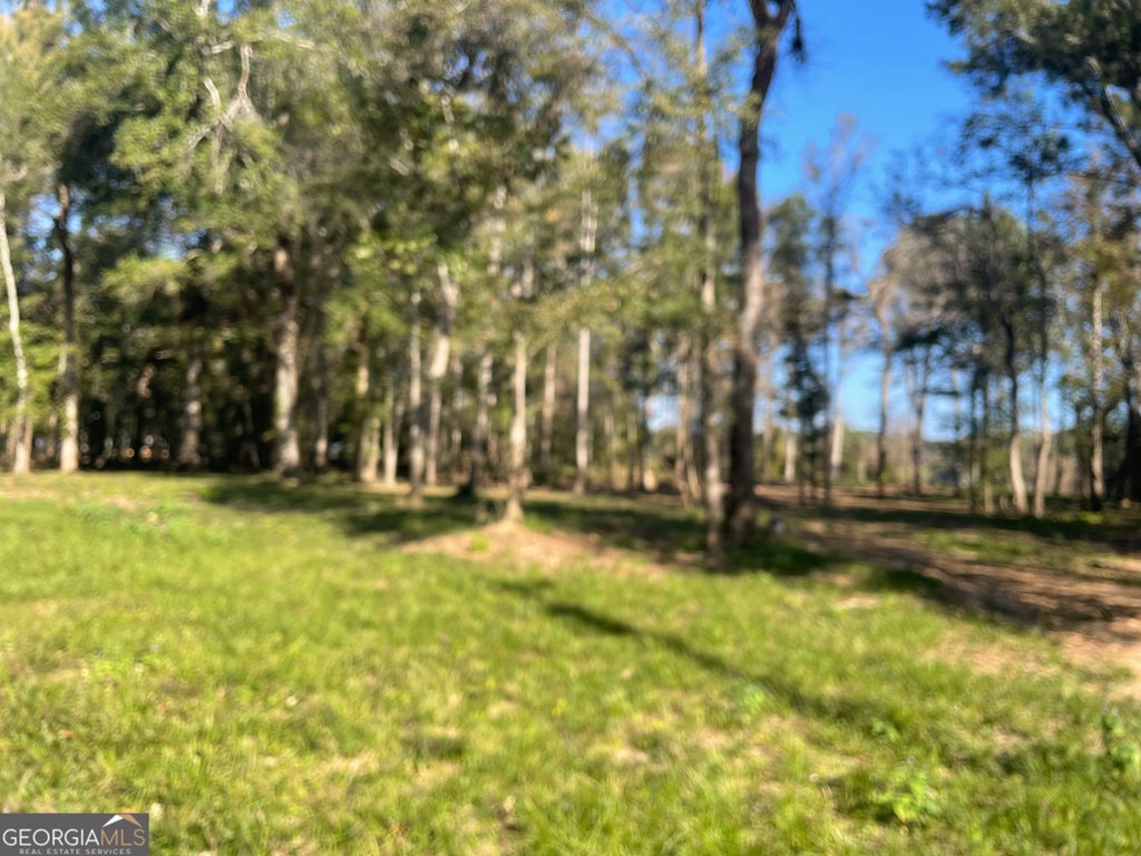 Photo of 160 Eagles Point, Surrency, GA 31563 (MLS # 10882243)