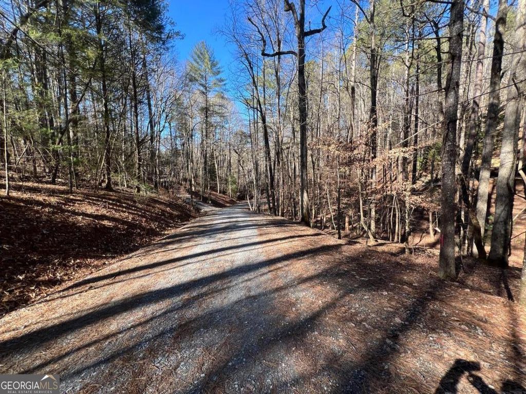 Photo of 18 Lily Lane, Ellijay, GA 30540 (MLS # 10679587)