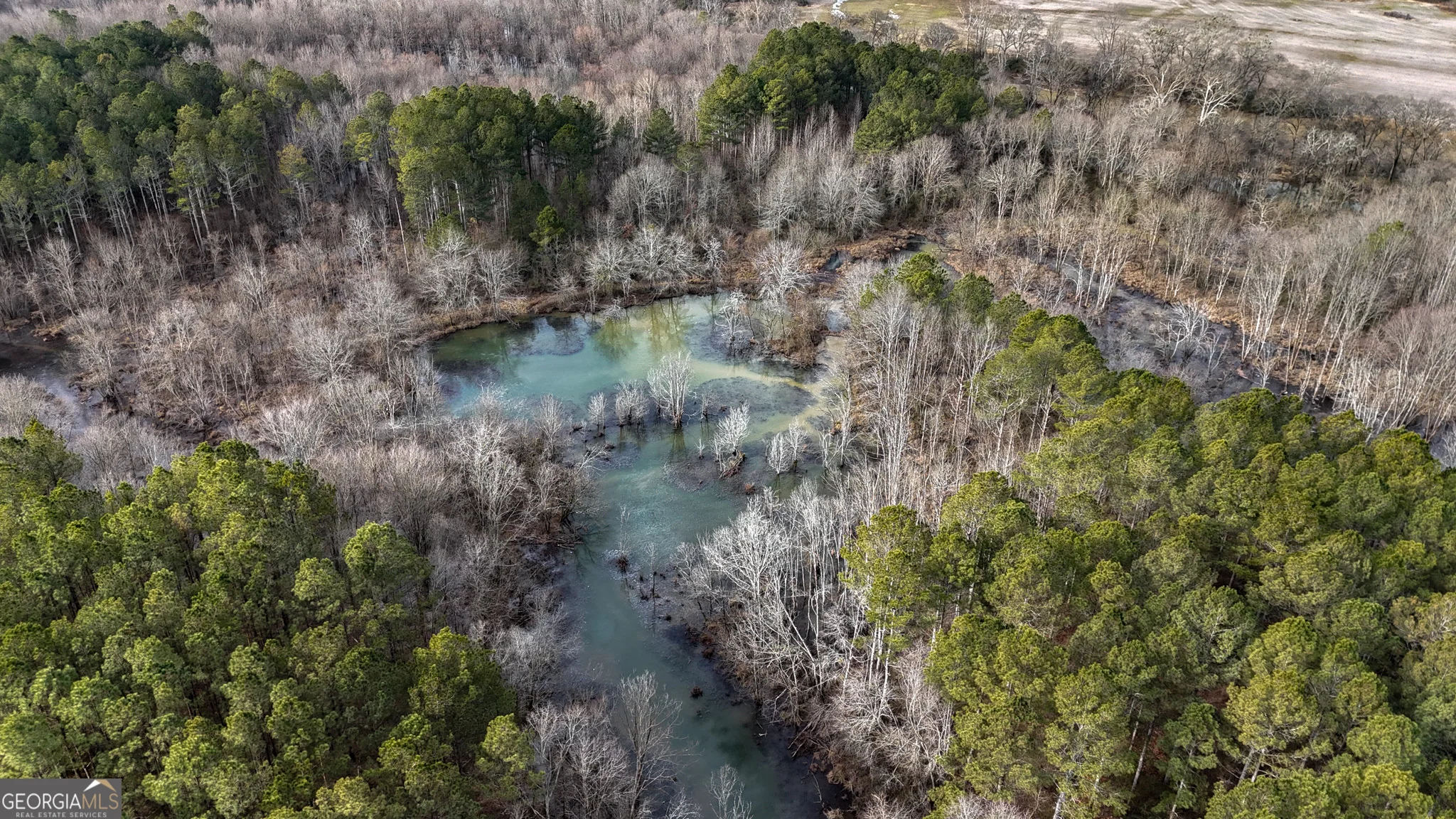 557 Acres On Taliaferro Springs Road, Lyerly, GA, 30730