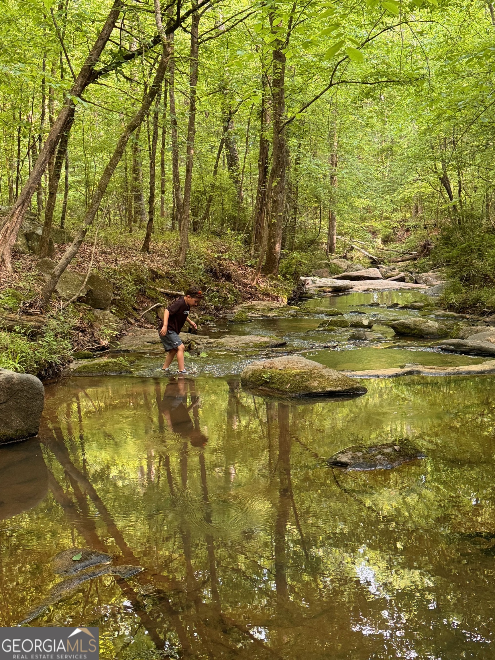 449 Old Indian Springs RD