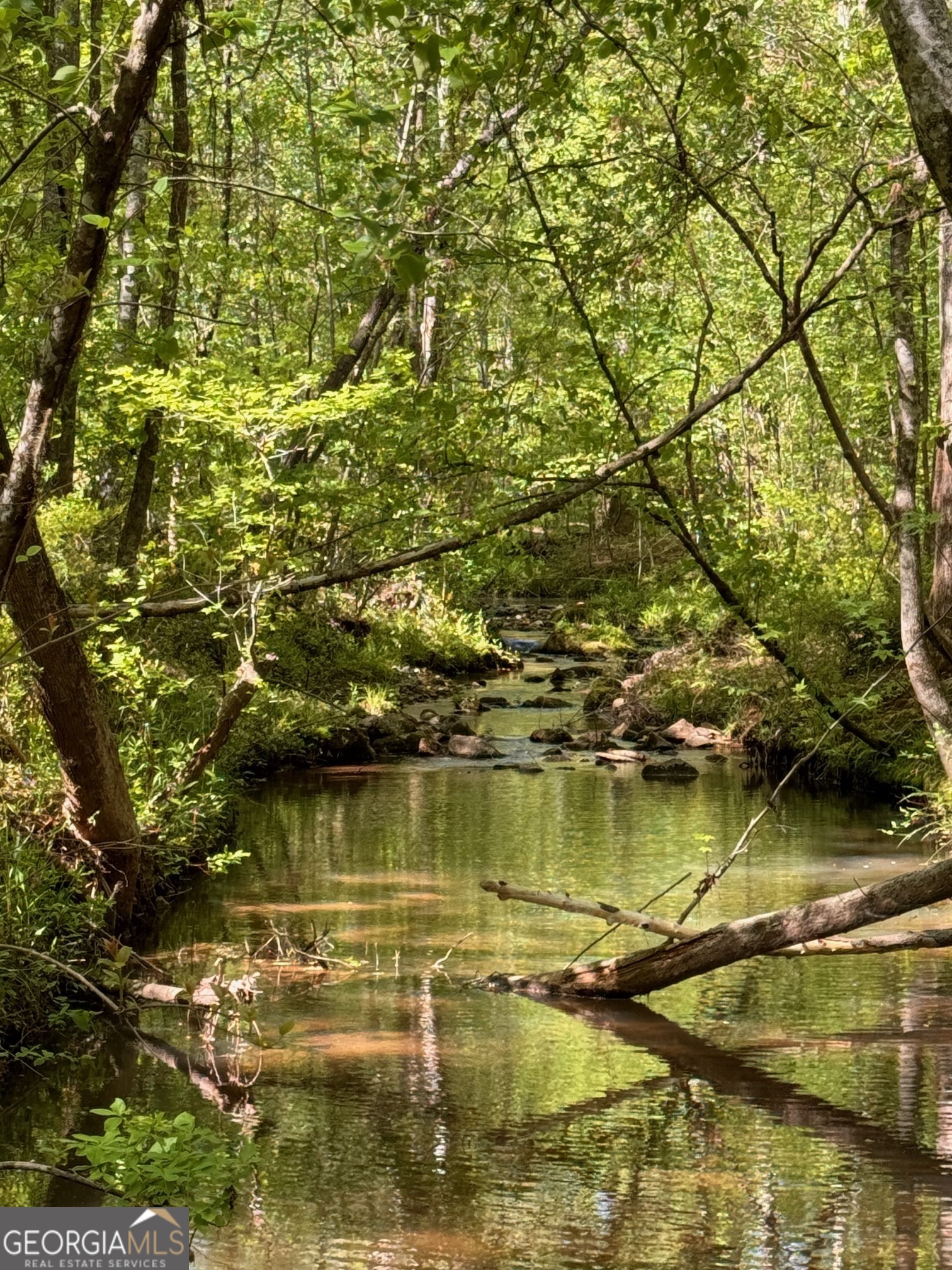 449 Old Indian Springs RD