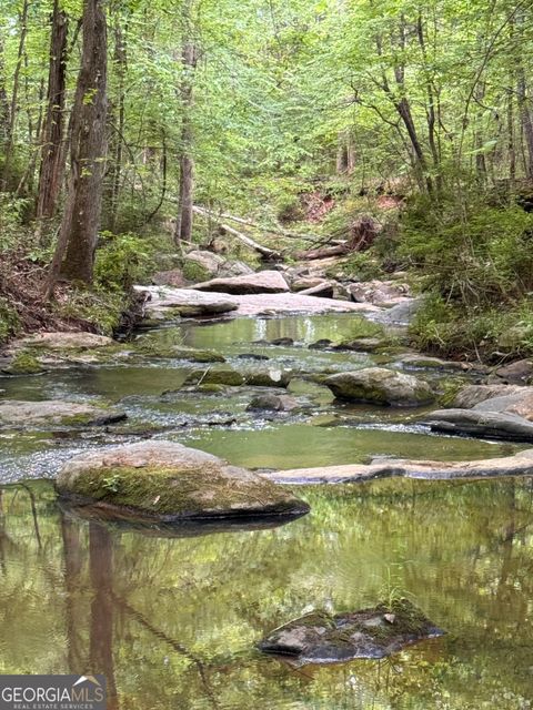 449 Old Indian Springs RD Forsyth GA 31029