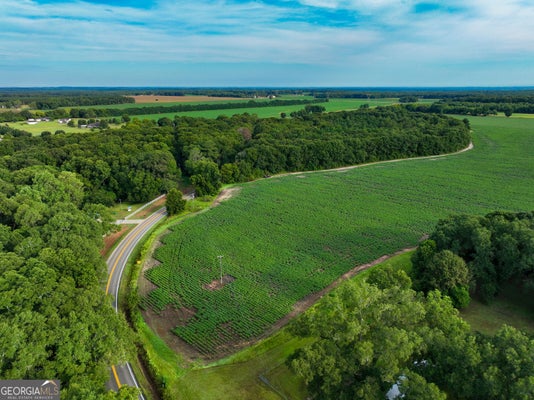STATE RTE 42, BYRON, GA 31008 - Image ccd92db159baf40434ed86a3ccb8bbd9/2288832926