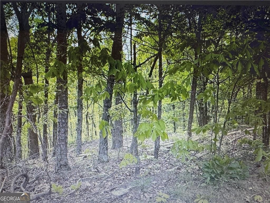 Photo of 1358 Hunter Drive, Ranger, GA 30734 (MLS # 10684806)