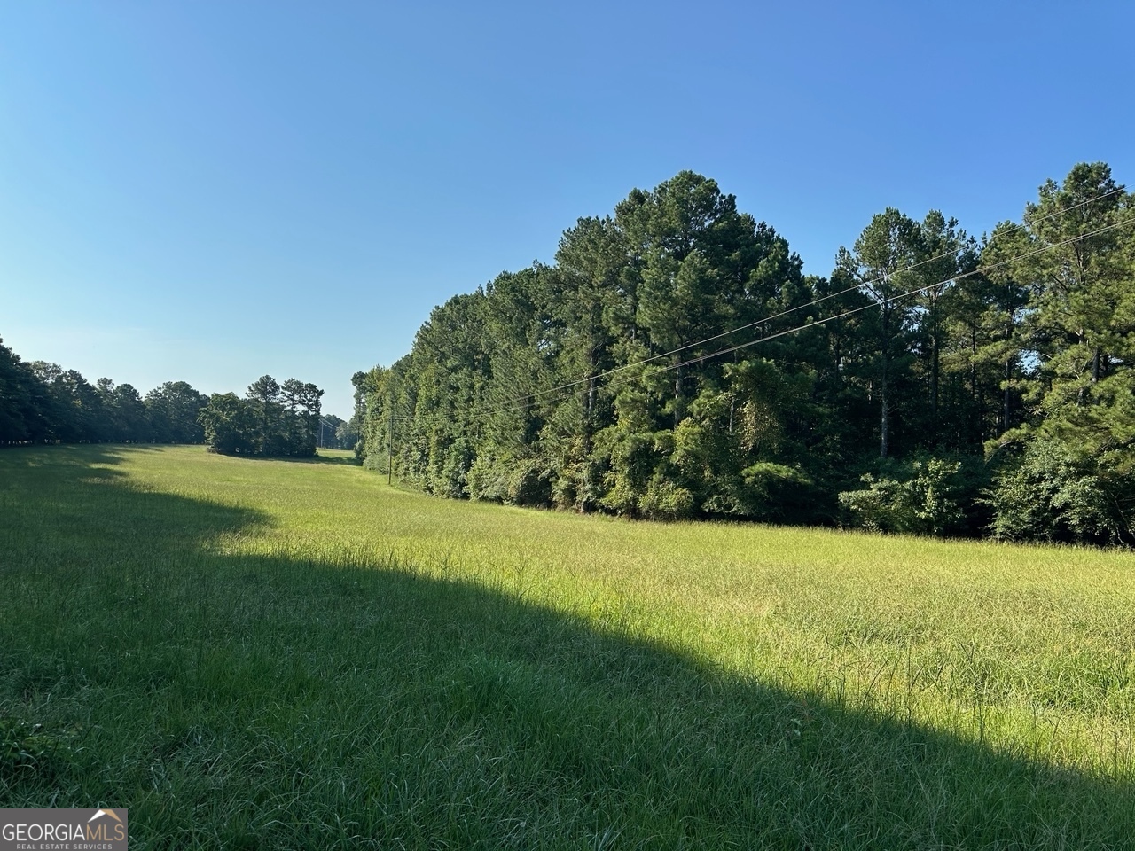Beautiful farm, Some pasture but mostly rolling timber land with 40 year old planted pines. Two creeks, several great pond sites. Great investment potential. Super location, just outside the city of Greensboro, .5 miles to the new elementary school, 2 miles to I-20 and Home Depo, 3 miles to Lake Oconee, Boat House Marine. Easy driving distance to Atlanta only 1 hour away. Also, easy driving to Augusta only one hour away, and go Dawgs, only 45 minutes to Athens. Other property available next to this up to an additional 50 acres totaling 100 acres.
