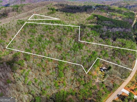 Photo of 64 Bull Gap Road, Talking Rock, GA 30175 (MLS # 10711452)