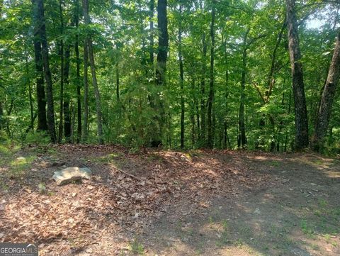 Photo of 1227 Hilton Drive #1227, Ranger, GA 30734 (MLS # 10536620)