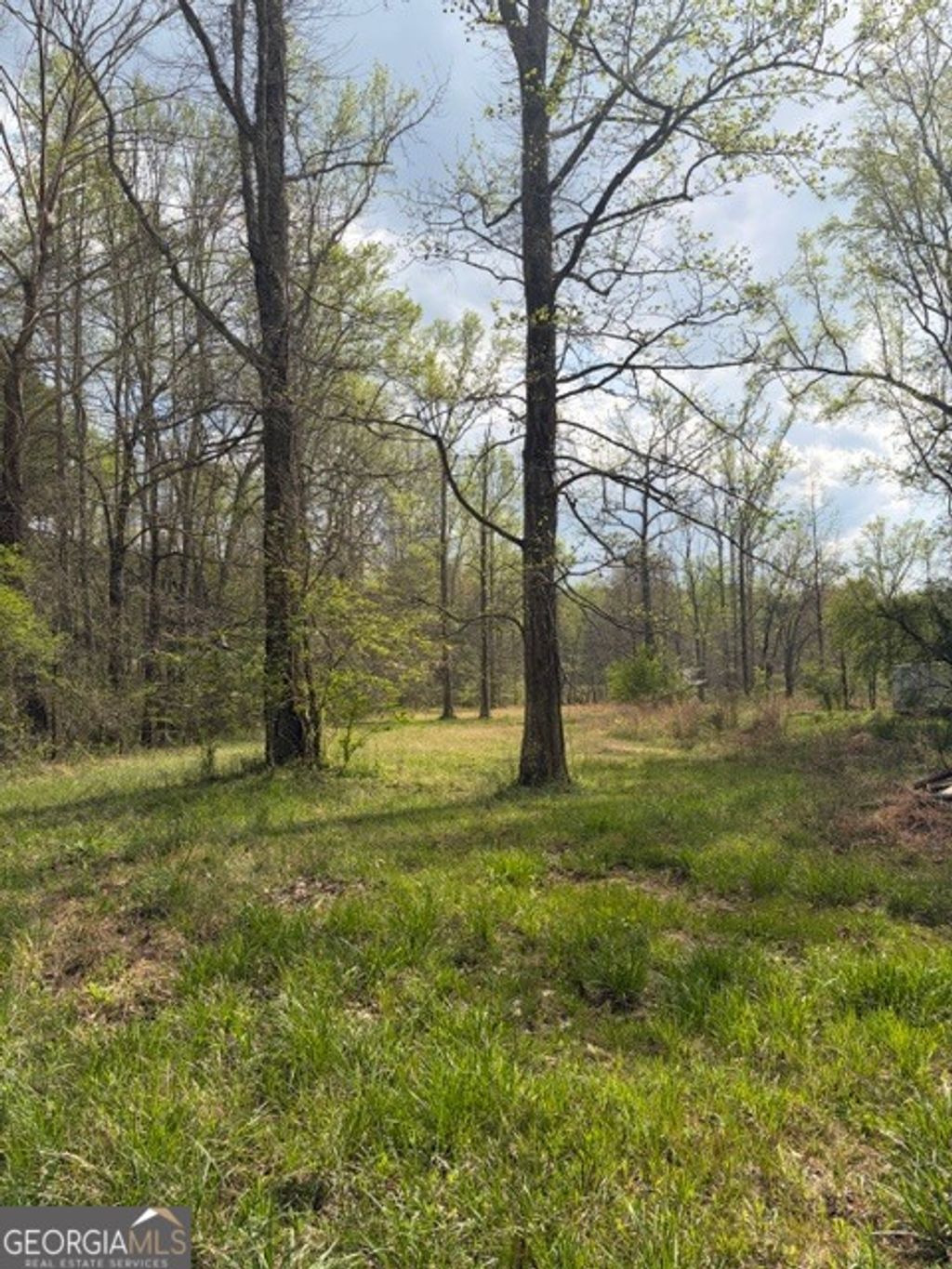 Photo of 54 Coppermine Road, Buchanan, GA 30113 (MLS # 10724226)