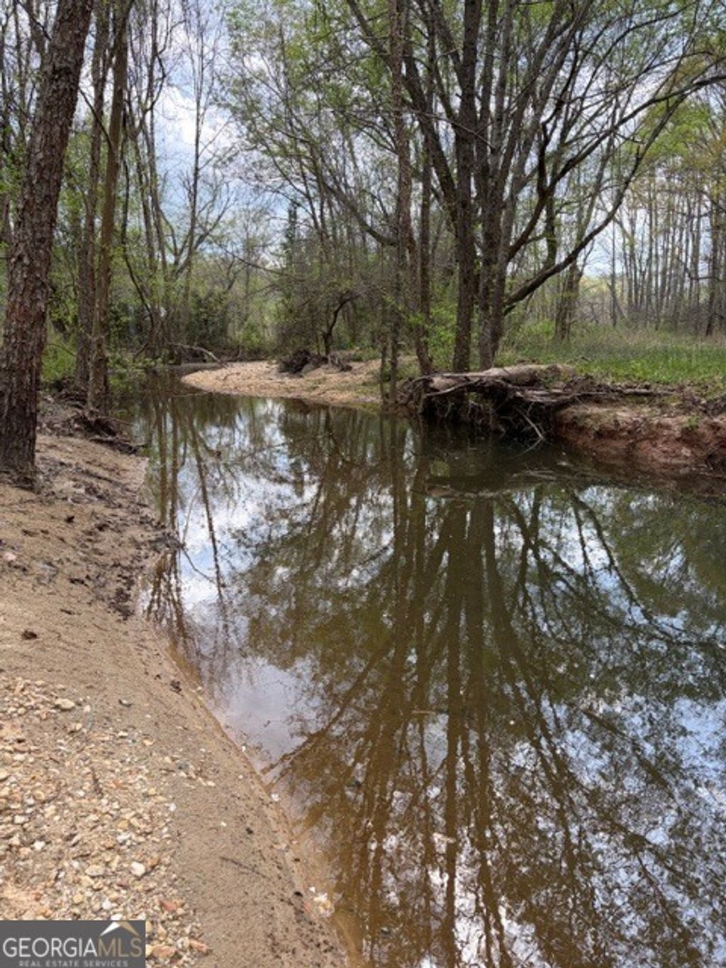 Photo of 54 Coppermine Road, Buchanan, GA 30113 (MLS # 10724226)