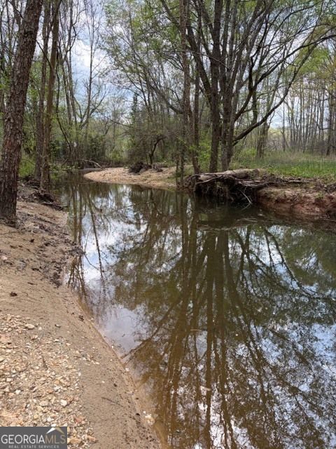 54 Coppermine RD Buchanan GA 30113