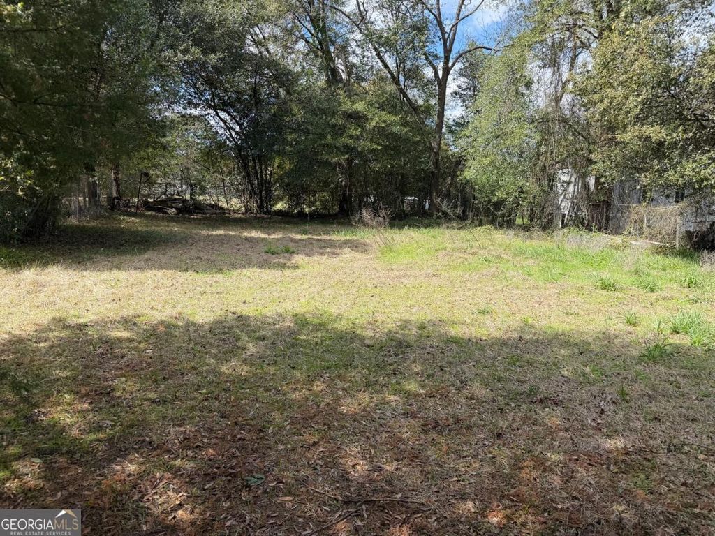 Photo of 709 Plant St, Montezuma, GA 31063 (MLS # 10719032)