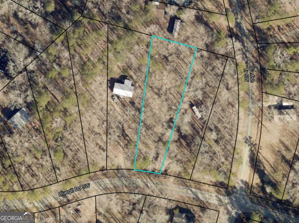 Photo of 204 Bluegill Road, Eatonton, GA 31024 (MLS # 10729536)