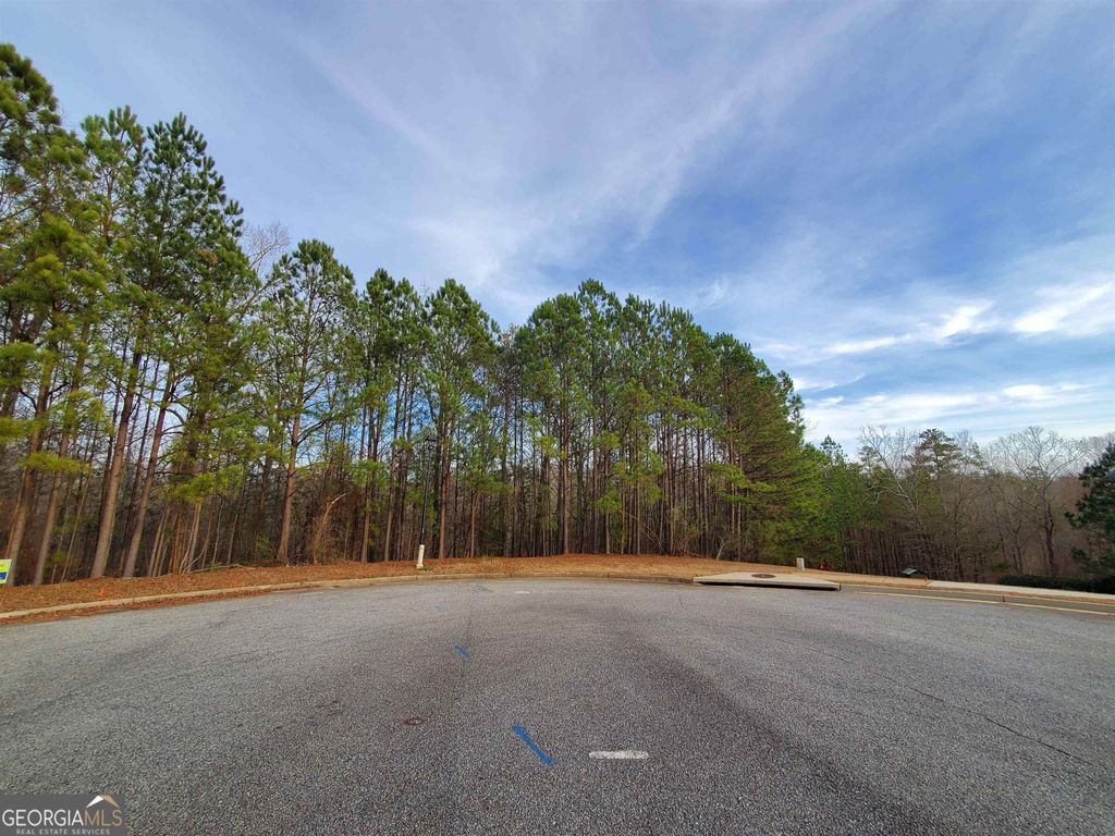 Photo of 7731 Windswept Way, Douglasville, GA 30135 (MLS # 10758151)