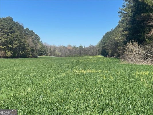CLEVELAND HWY, COHUTTA, GA 30710 - Image cd4abde58d9296aa6ab78d33cd15ea8a/4134082755