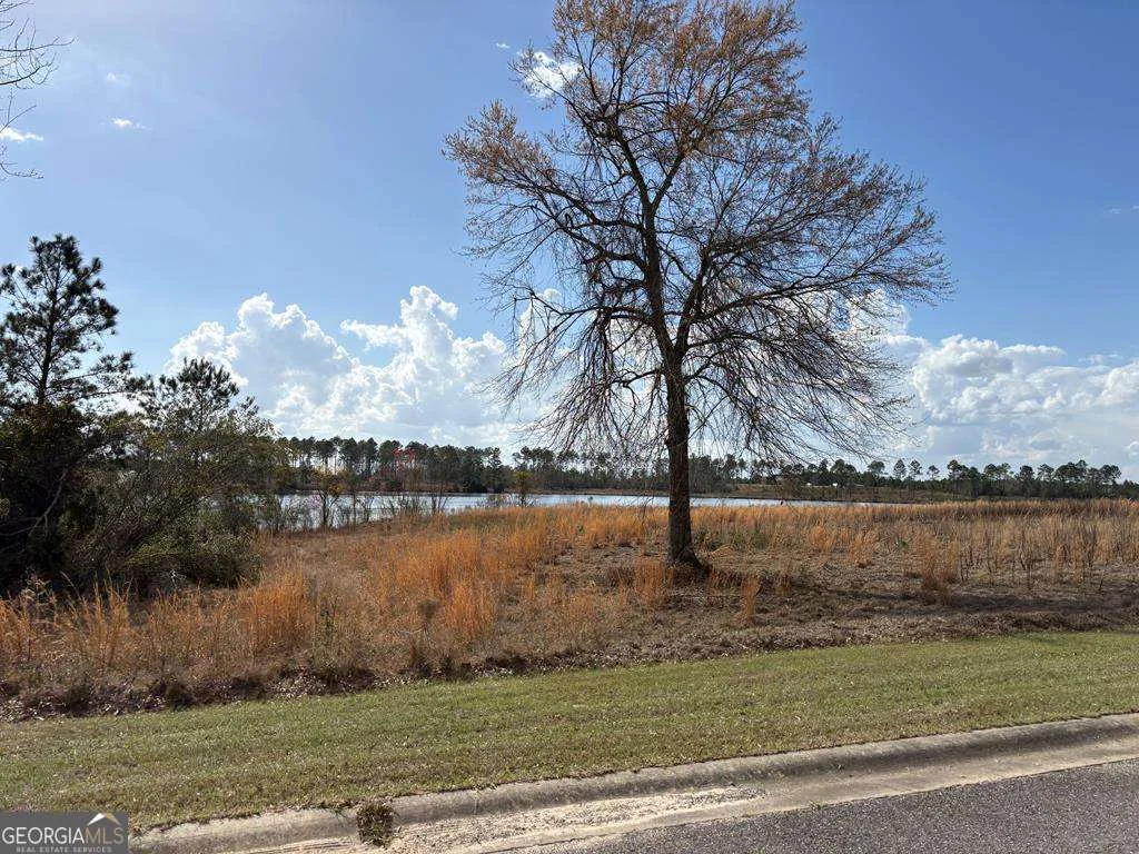 600 Thompson Level Road, Lyons, GA, 30436