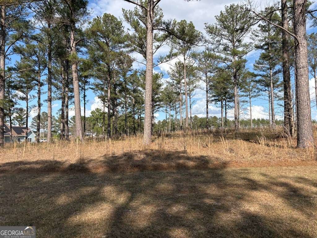 600 Thompson Level RD