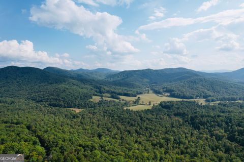 0 North Burgess Gap RD Morganton GA 30560