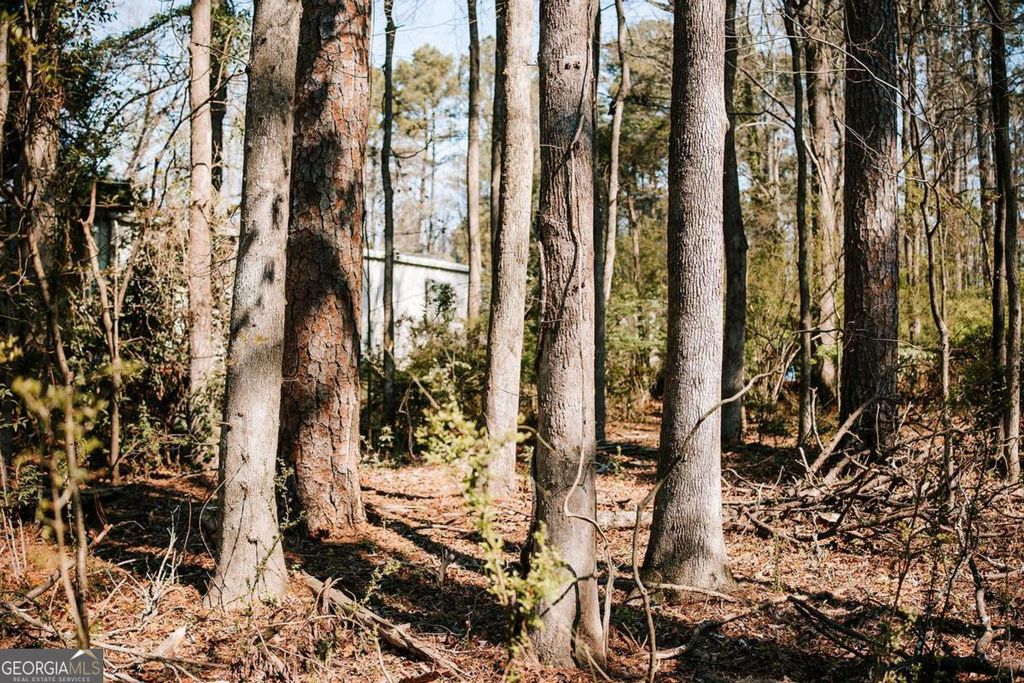 Photo of 1283 Cedar Shoals Drive, Athens, GA 30606 (MLS # 10728777)