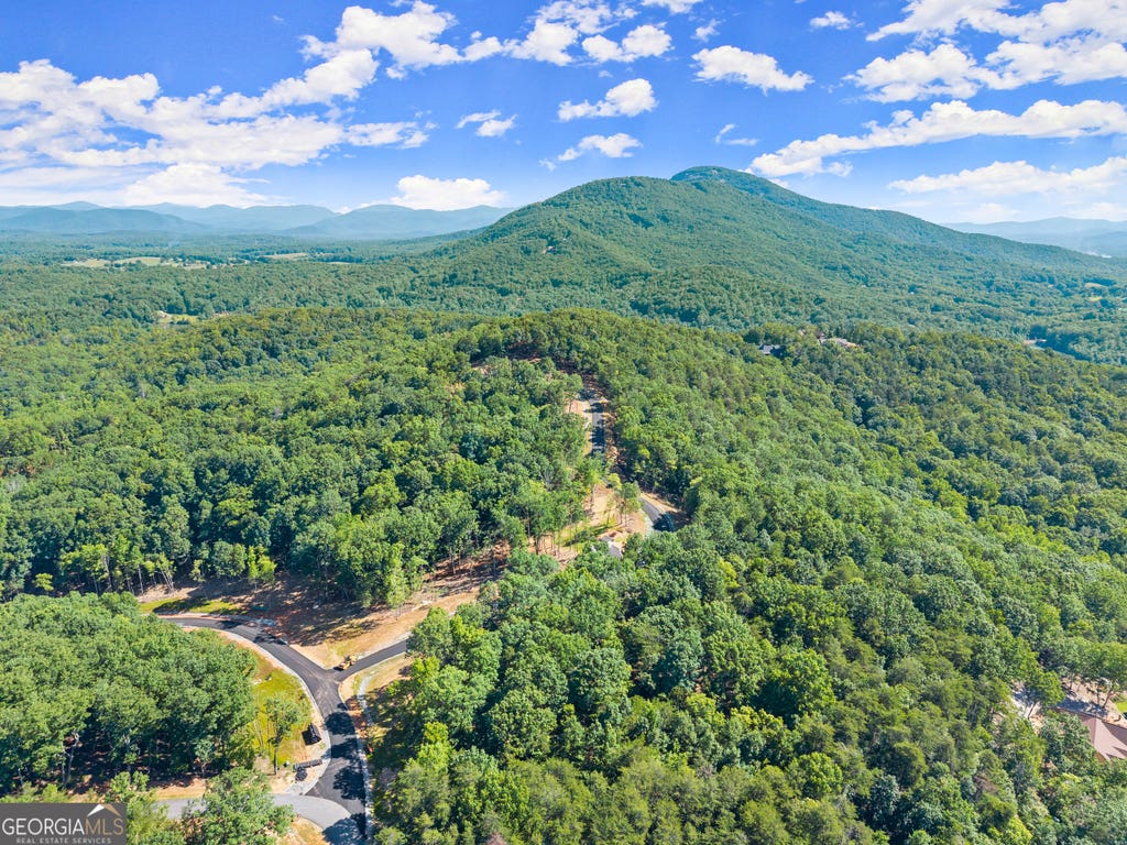 Photo of 95 Chimney Oaks Trail LN, Cleveland, GA 30528 (MLS # 10798944)