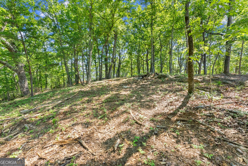 Photo of 95 Chimney Oaks Trail LN, Cleveland, GA 30528 (MLS # 10798944)