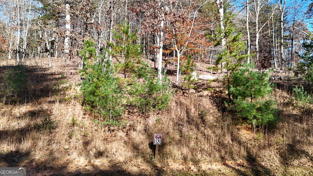 Photo of 183 Northshore Drive, Cleveland, GA 30528 (MLS # 10851936)