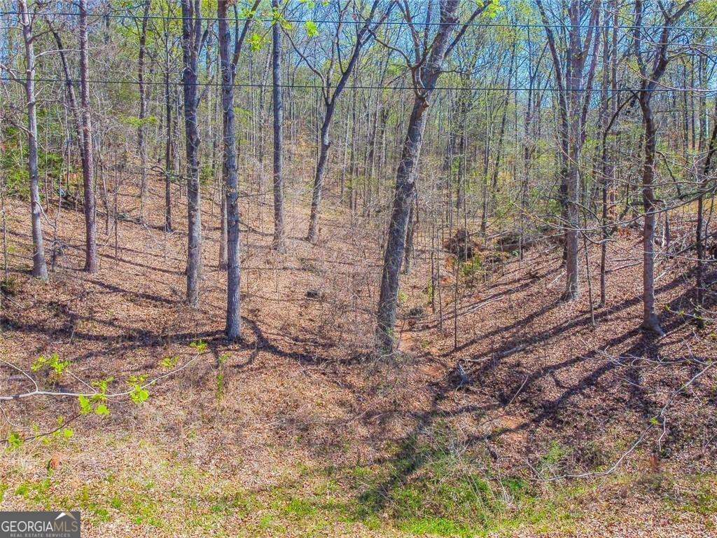 Photo of 0 Arrow Lane, Lavonia, GA 30553 (MLS # 10700592)
