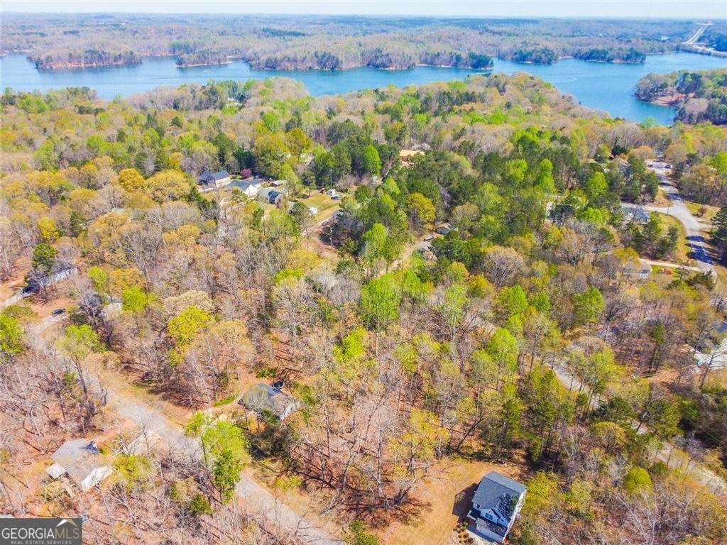 Photo of 0 Arrow Lane, Lavonia, GA 30553 (MLS # 10700592)