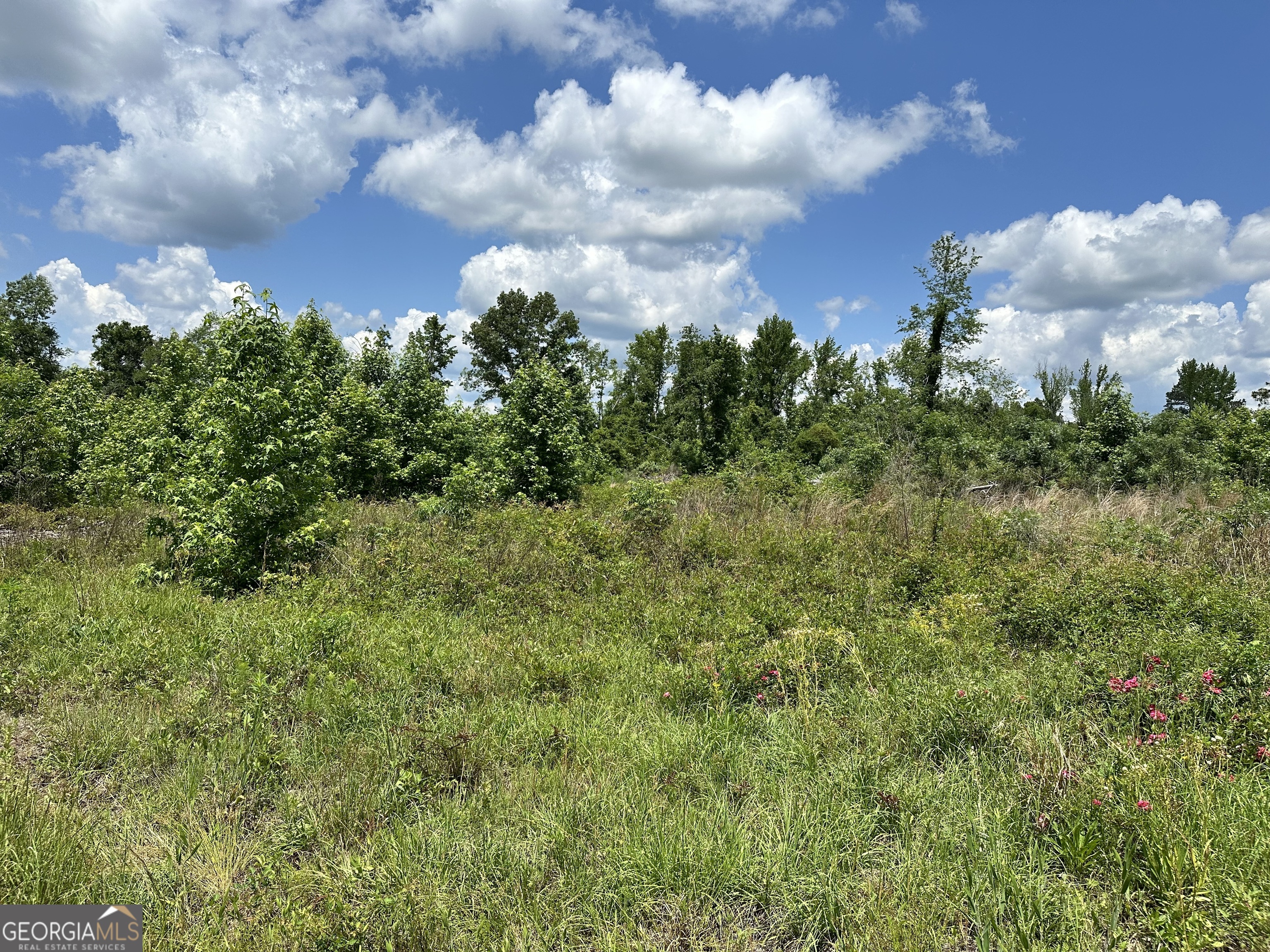 LOT 7 Rock Springs Road