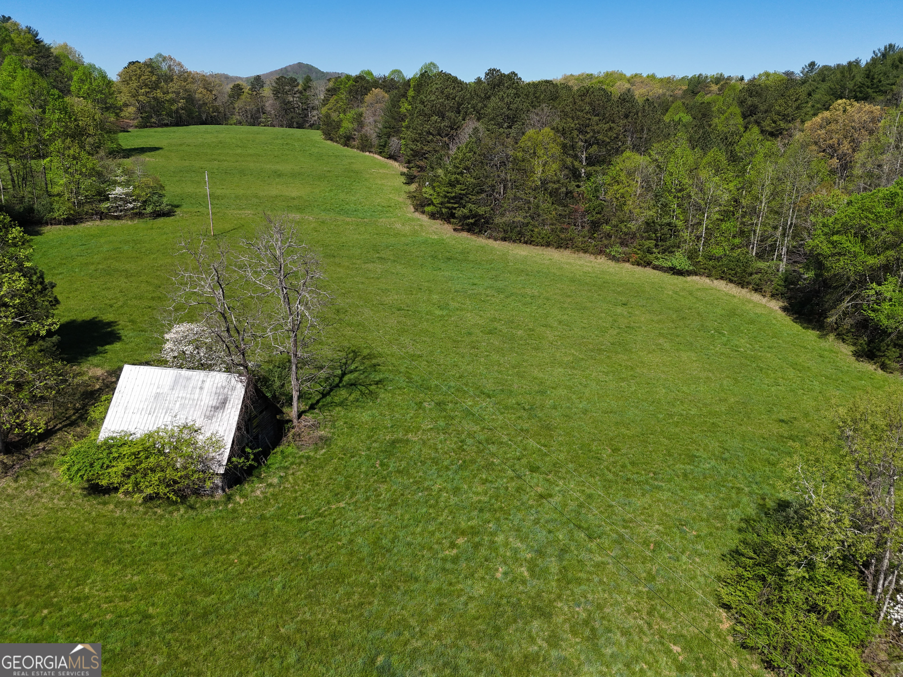 1489 Boy Scout RD
