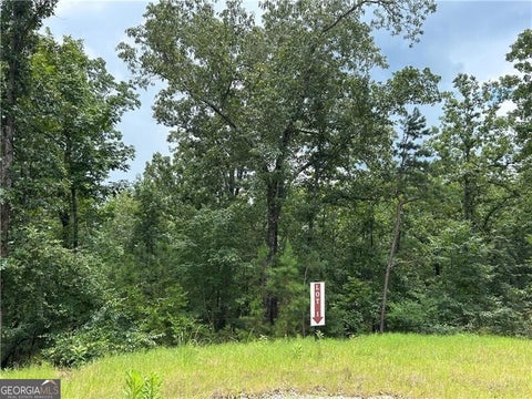 Photo of 0 Hamilton Road #1, Chattahoochee Hills, GA 30268 (MLS # 10809305)